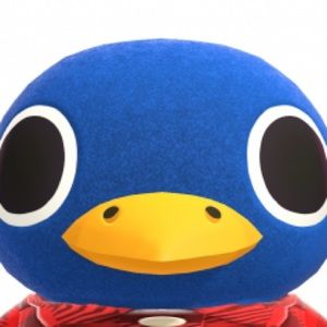 Meet your Posher, Lizbeth